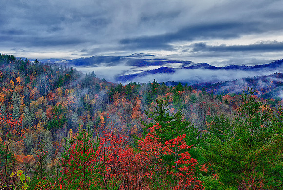 Foggy Sunrise in The Smokies