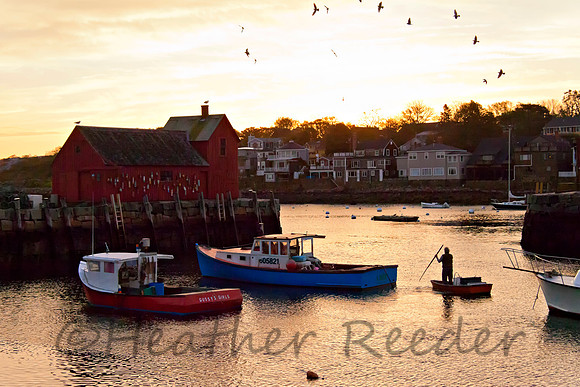 I loved watching this fisherman ride his dingy boat in the early morning and get ready for his day at sea.