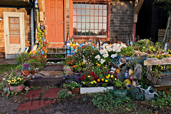 I have soo many pictures from this little house.