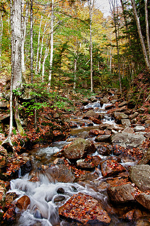 Franconia Notch State Park - Lincoln, New Hampshire