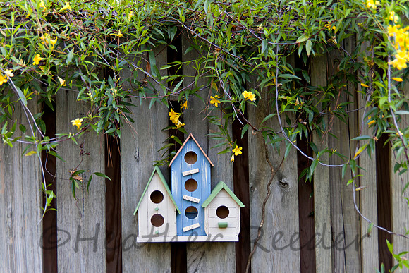 Three colorful birdhouses on old fence with yellow flowers
