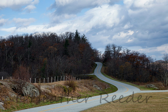 Curvy road with fence, field and trees