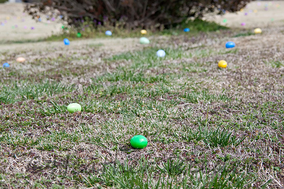 Multi-colored Easter eggs laying in a field of grass.