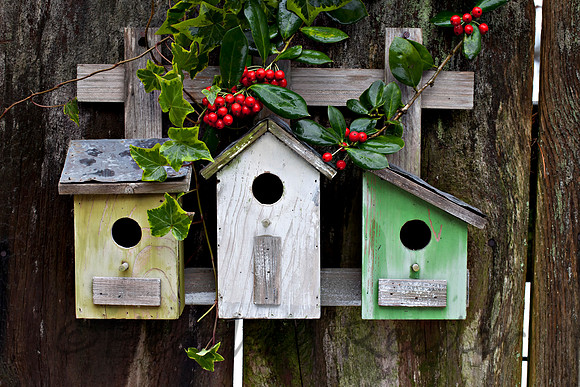 Three Birdhouses on old fence