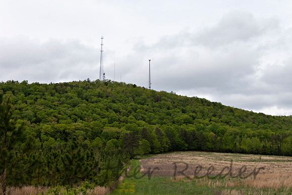 Lush green foliage on mountain side with various towers atop.