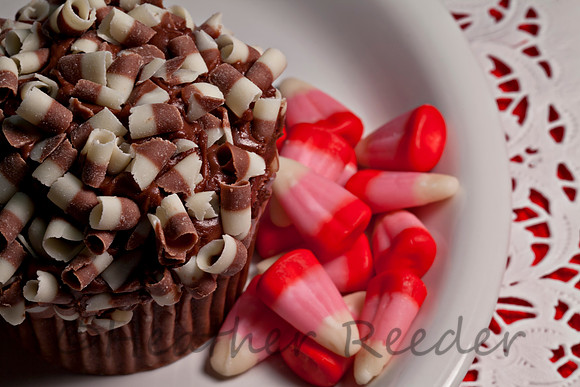 Chocolate cupcake covered with chocolate swirls and served with a side of colorful candies.