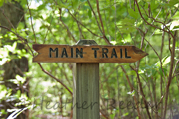 Main trail direction sign surrounded by lush green foliage.