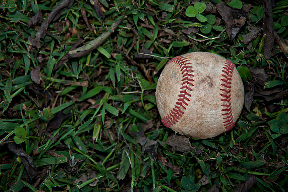 Worn baseball in green grass
