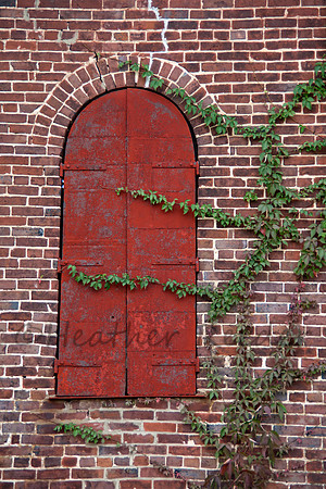 Arched window and rusted red shutters on an aged red brick wall with green climbing vine.