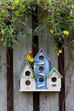 Three Birdhouses on old fence