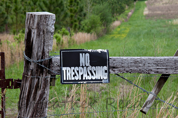No trespassing sign on weathered fence post in front of a green