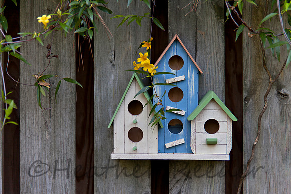 Three Birdhouses on old fence