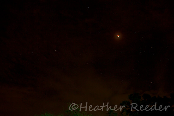 Lunar Eclipse 2015