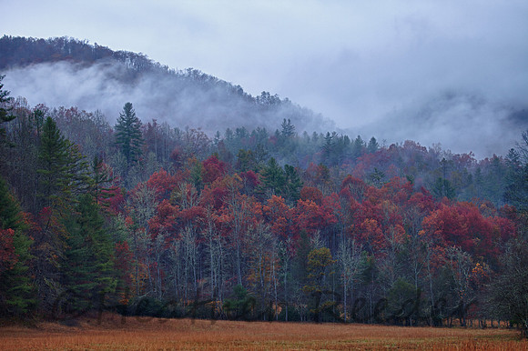 Cataloochee Valley