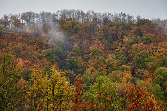 Appalachian Colors