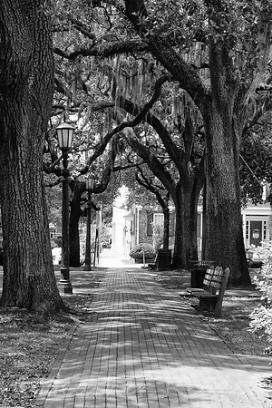 "Strolling Through Savannah"