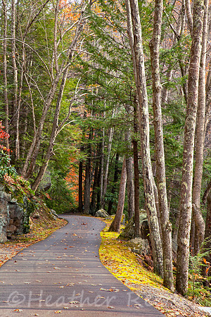 "Babcock State Park"