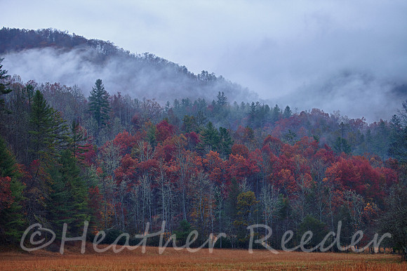 Cataloochee Valley