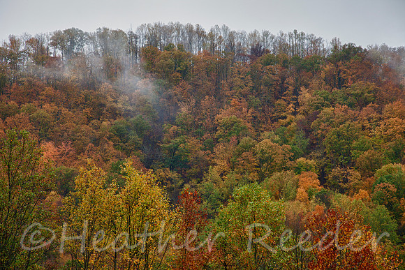 Appalachian Colors
