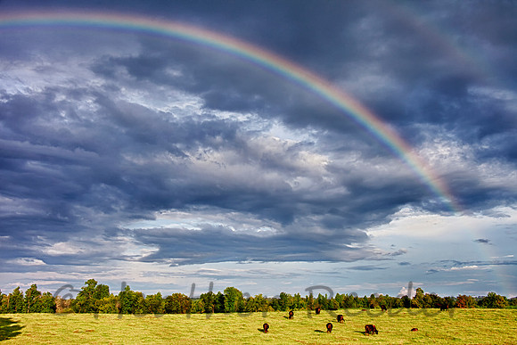God's Promise