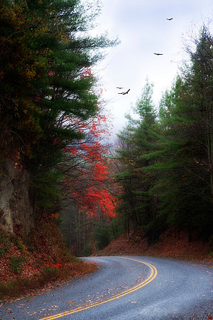 "Around the Bend"