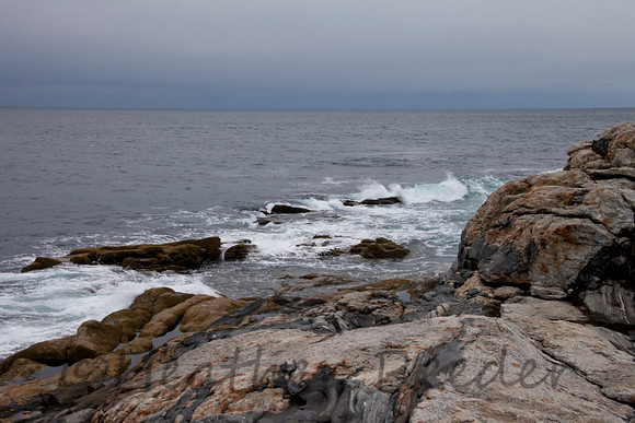 Coast at Pemaquid Lighthouse