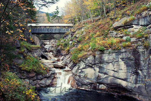 Sentinel Pine Bridge