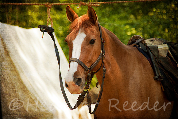 "Ready to Ride"