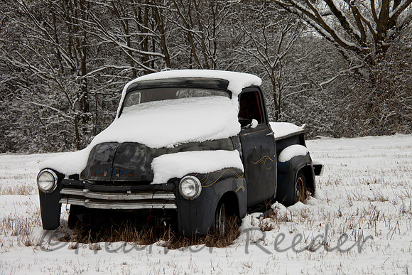 Old Blue in the Snow