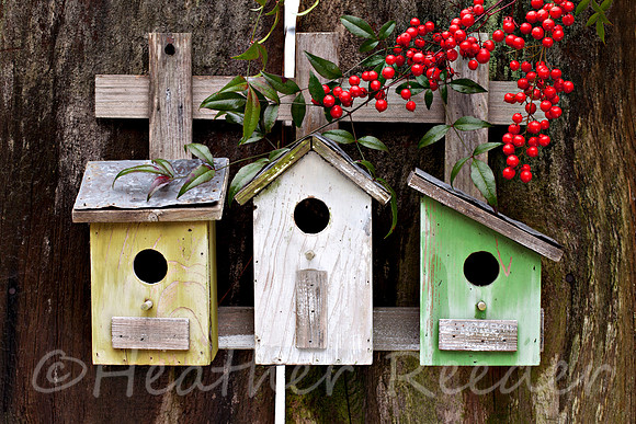 Three Birdhouses on old fence