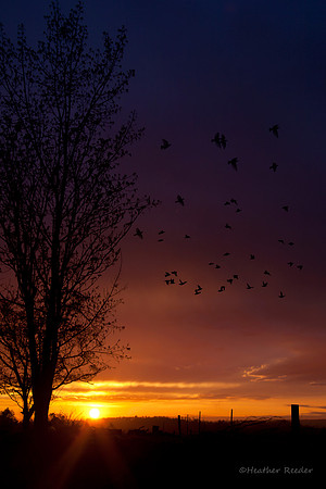 "Fly Away From Here"