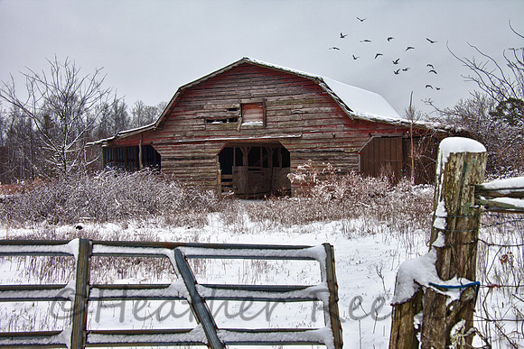 Red Barn in the Snow